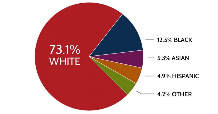 A+pie+chart+that+shows+exactly+how+underrepresented+non-white+races+are.+