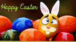 Hopping to Have Fun!