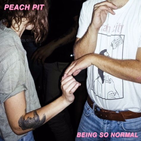 Album Review:  Being so Normal