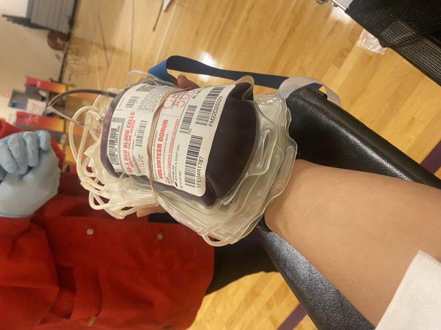 My+blood+drive+experience