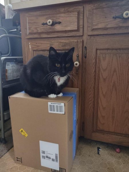 Eileen William Palma sitting on a box.