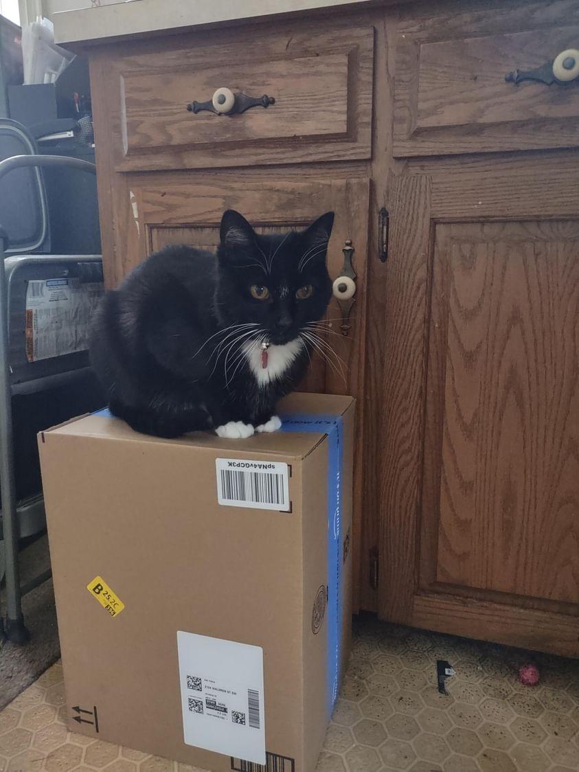 Eileen William Palma sitting on a box.