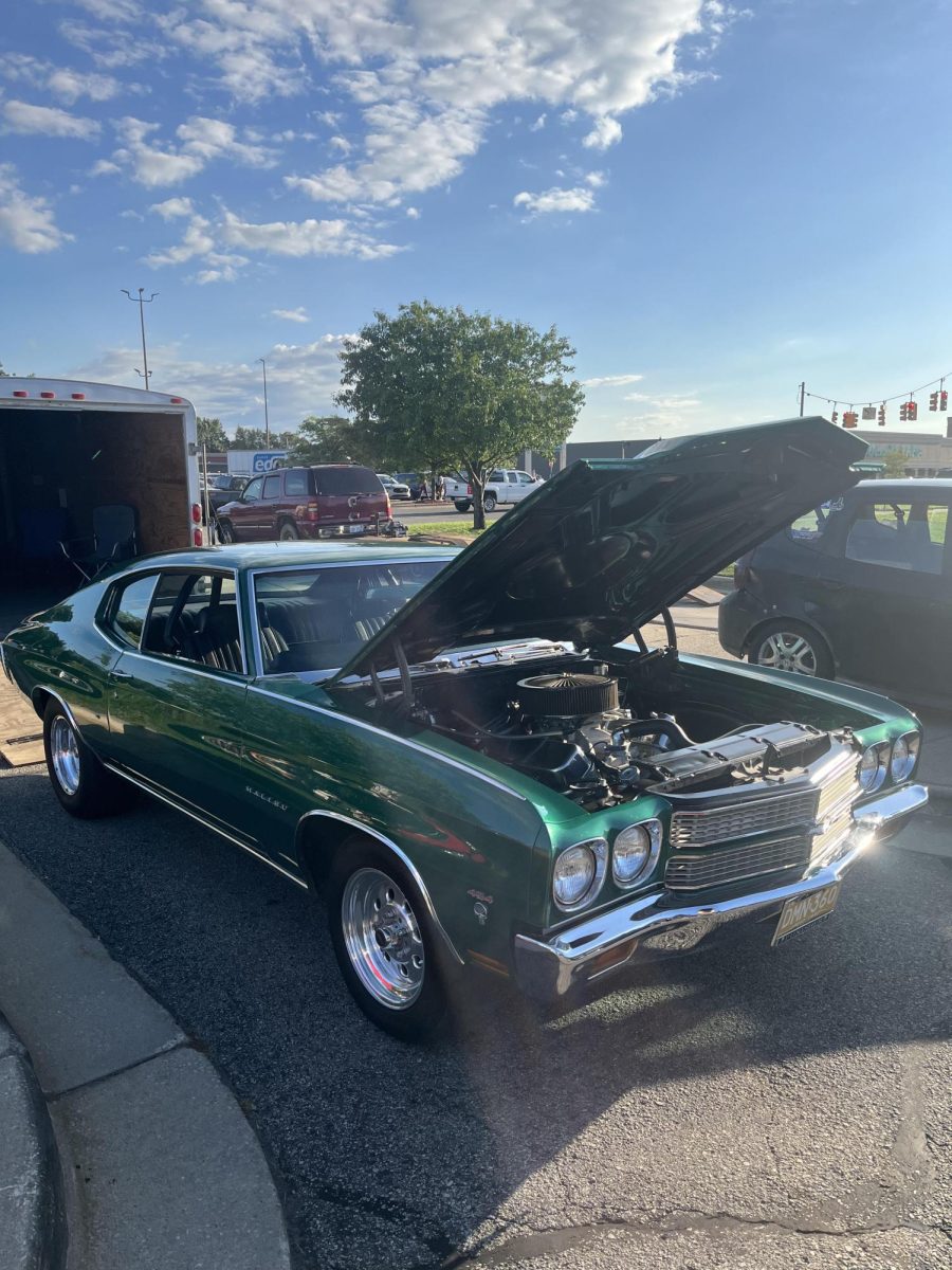 the kind of cars you'd see at metro cruise 