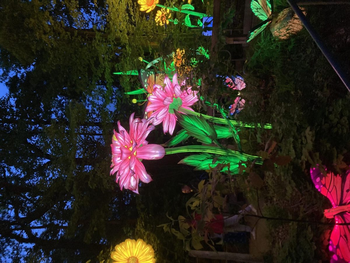 Annual John Ball Zoo Lantern Festival Enthralls Community